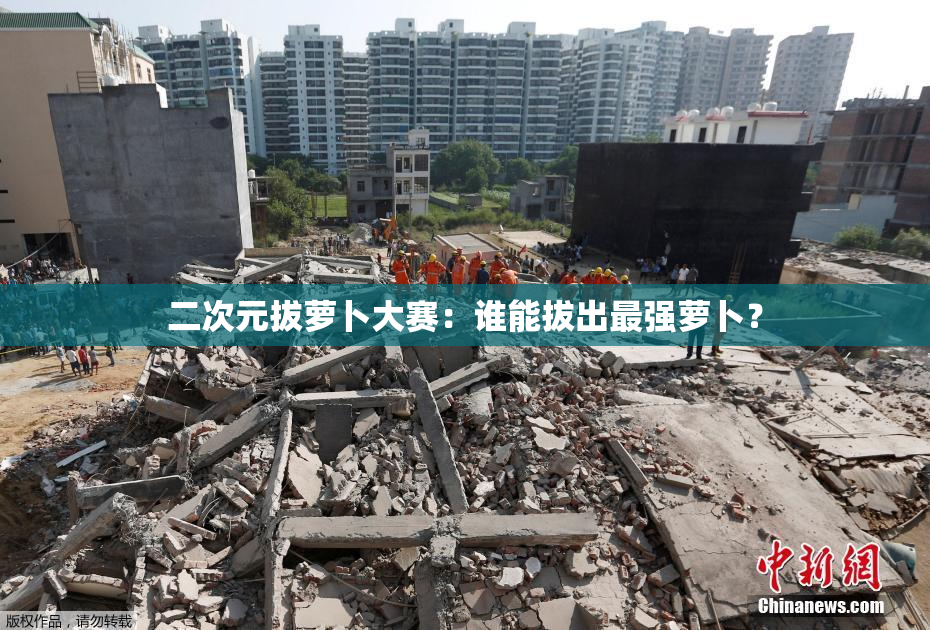 二次元拔萝卜大赛：谁能拔出最强萝卜？