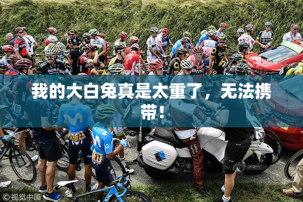 我的大白兔真是太重了，无法携带！
