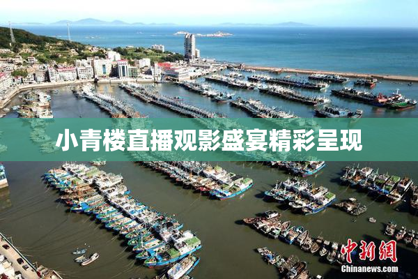 小青楼直播观影盛宴精彩呈现
