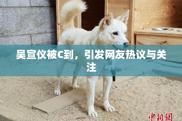 吴宣仪被C到，引发网友热议与关注