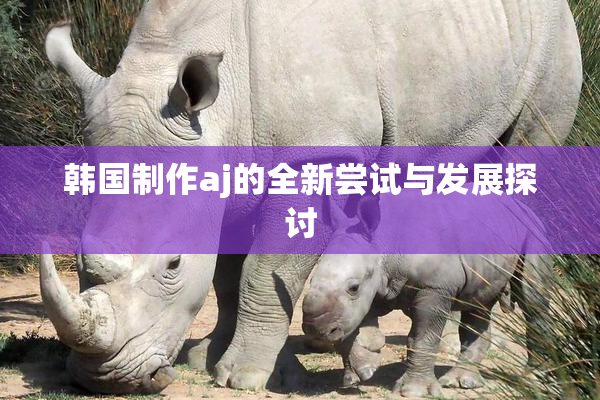 韩国制作aj的全新尝试与发展探讨