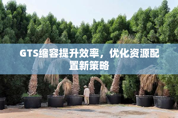 GTS缩容提升效率，优化资源配置新策略