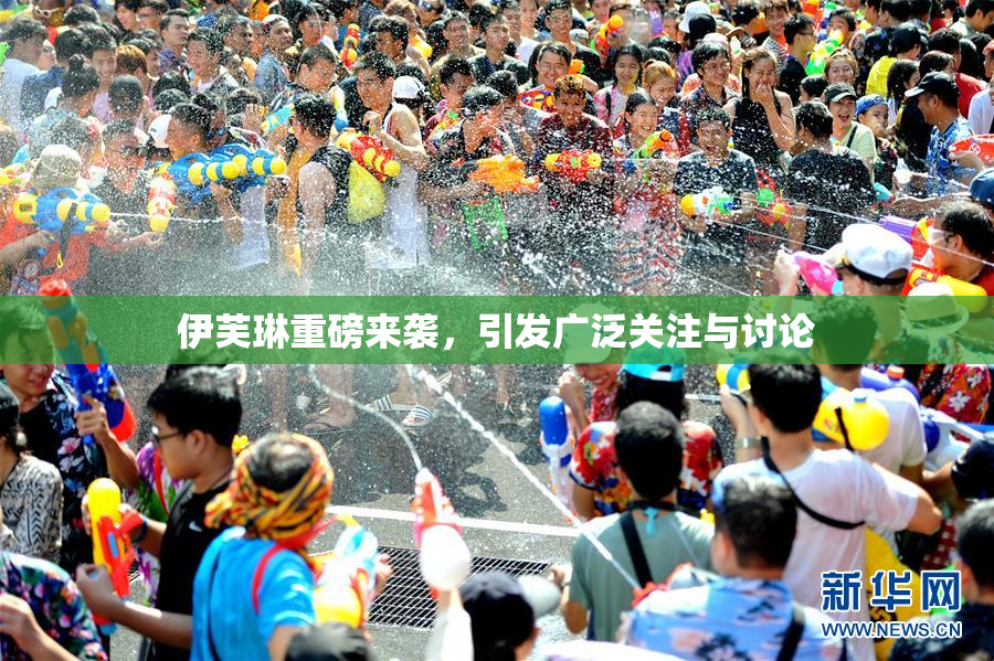 伊芙琳重磅来袭，引发广泛关注与讨论