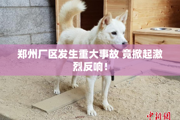 郑州厂区发生重大事故 竟掀起激烈反响！