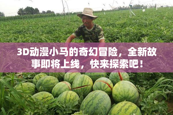 3D动漫小马的奇幻冒险，全新故事即将上线，快来探索吧！