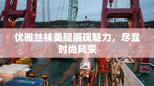 优雅丝袜美腿展现魅力，尽显时尚风采