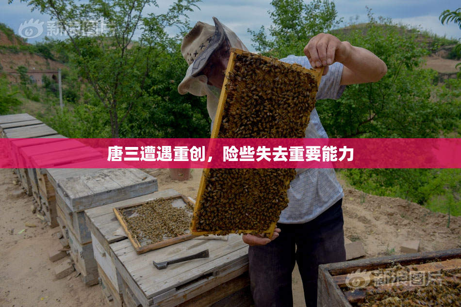 唐三遭遇重创，险些失去重要能力