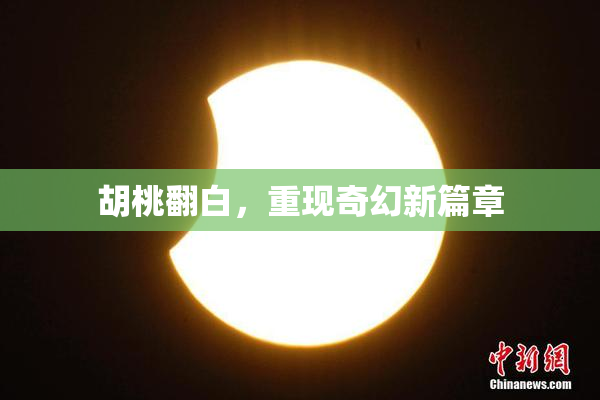 胡桃翻白，重现奇幻新篇章