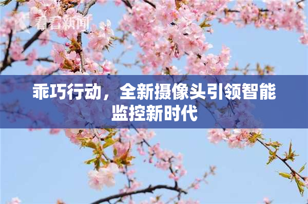 乖巧行动，全新摄像头引领智能监控新时代
