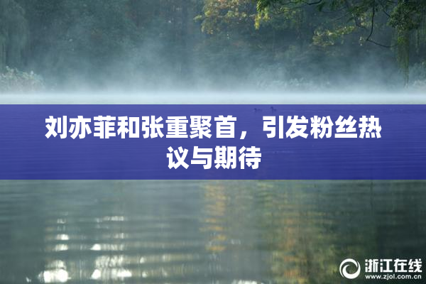 刘亦菲和张重聚首，引发粉丝热议与期待