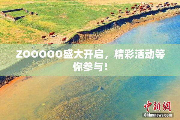 ZOOOOO盛大开启，精彩活动等你参与！