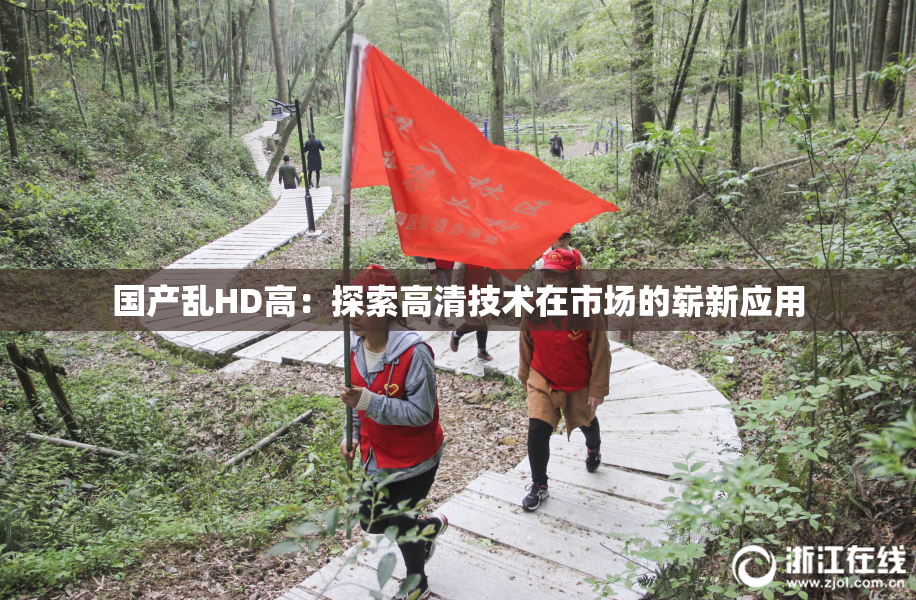 国产乱HD高：探索高清技术在市场的崭新应用