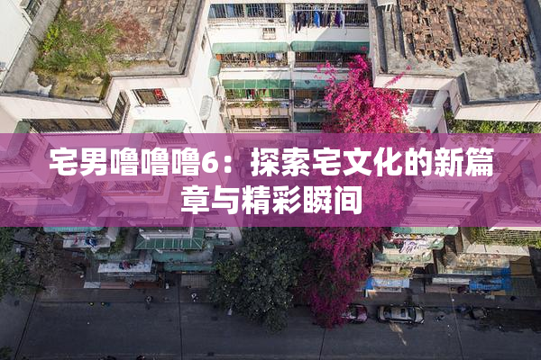 宅男噜噜噜6：探索宅文化的新篇章与精彩瞬间