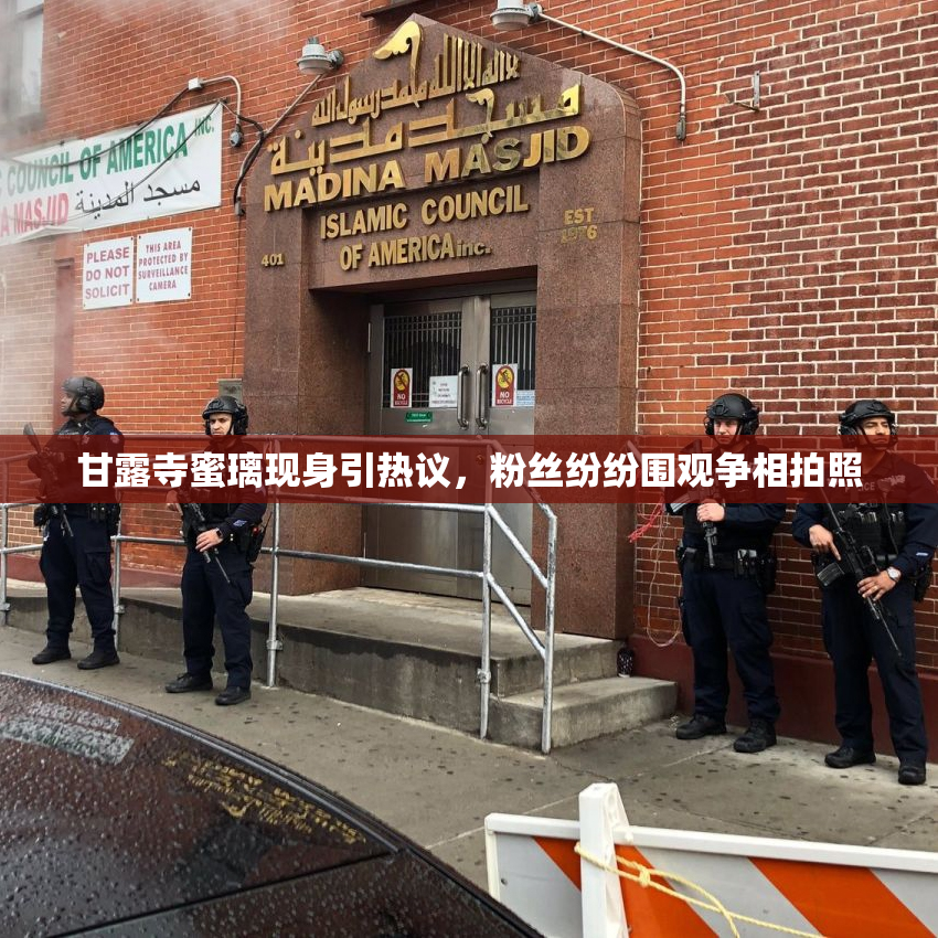 甘露寺蜜璃现身引热议，粉丝纷纷围观争相拍照