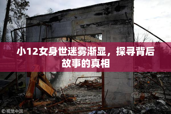 小12女身世迷雾渐显，探寻背后故事的真相