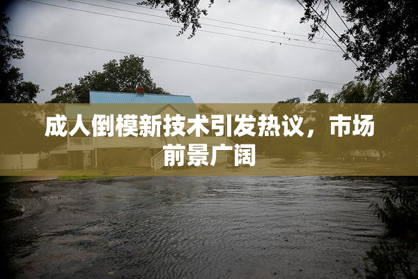 成人倒模新技术引发热议，市场前景广阔