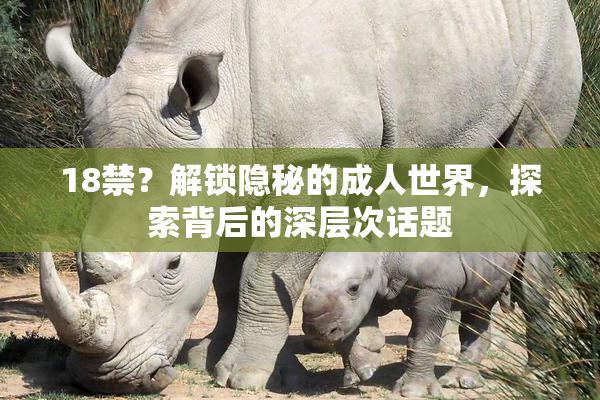 18禁？解锁隐秘的成人世界，探索背后的深层次话题