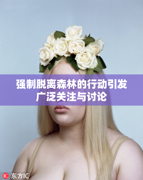 强制脱离森林的行动引发广泛关注与讨论