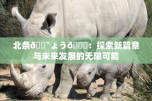 北条🔯ょう🍓：探索新篇章与未来发展的无限可能