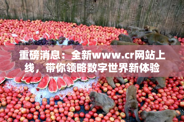 重磅消息：全新www.cr网站上线，带你领略数字世界新体验