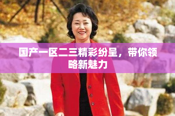 国产一区二三精彩纷呈，带你领略新魅力