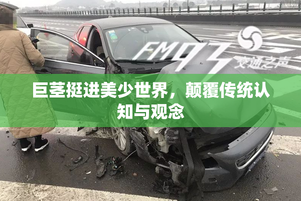 巨茎挺进美少世界，颠覆传统认知与观念