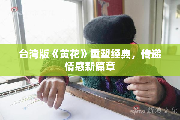 台湾版《黄花》重塑经典，传递情感新篇章