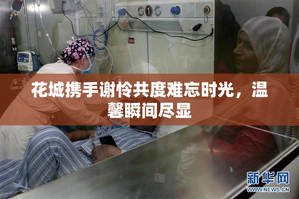 花城携手谢怜共度难忘时光，温馨瞬间尽显