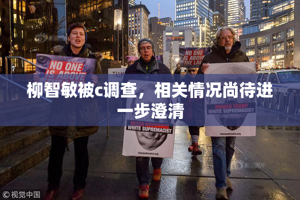柳智敏被c调查，相关情况尚待进一步澄清