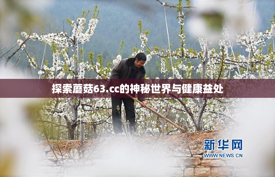 探索蘑菇63.㏄的神秘世界与健康益处