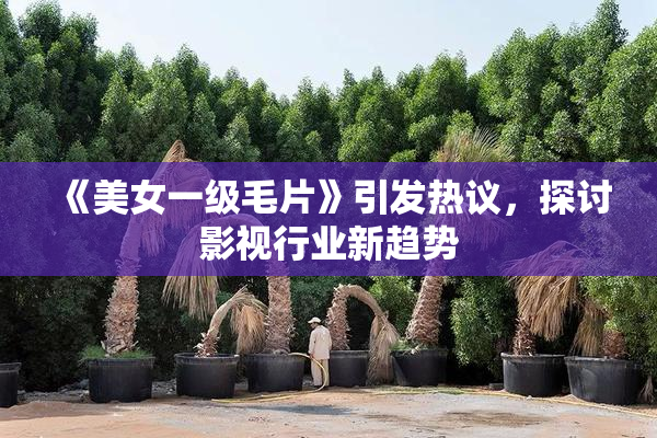 《美女一级毛片》引发热议，探讨影视行业新趋势