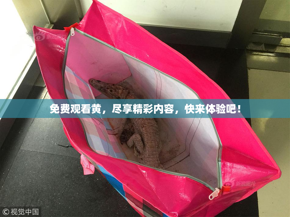 免费观看黄，尽享精彩内容，快来体验吧！