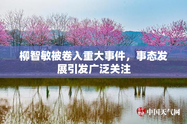 柳智敏被卷入重大事件，事态发展引发广泛关注