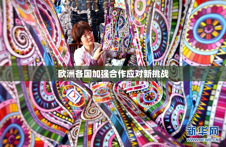 欧洲各国加强合作应对新挑战