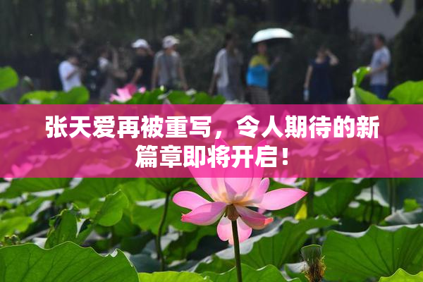 张天爱再被重写，令人期待的新篇章即将开启！