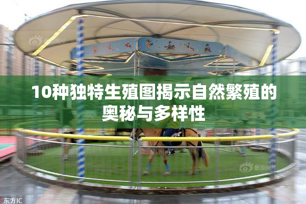10种独特生殖图揭示自然繁殖的奥秘与多样性