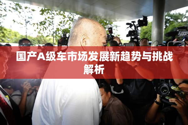 国产A级车市场发展新趋势与挑战解析