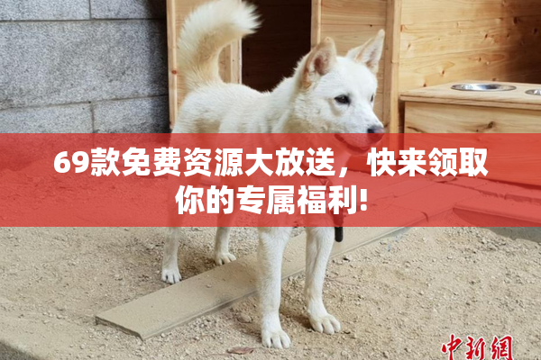 69款免费资源大放送，快来领取你的专属福利!