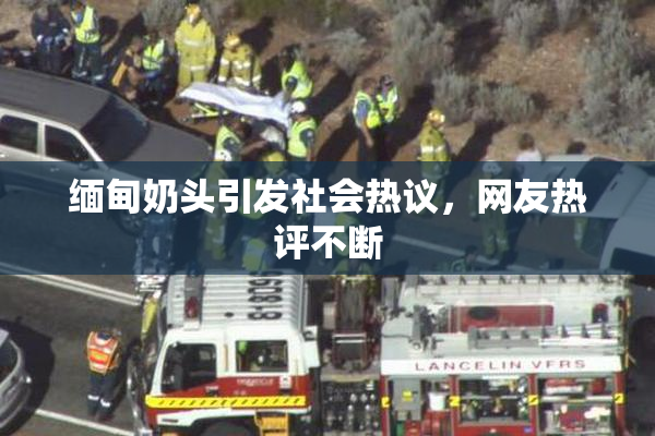缅甸奶头引发社会热议，网友热评不断