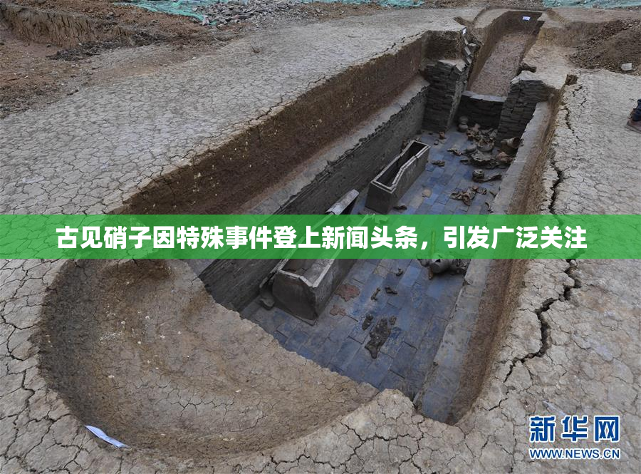 古见硝子因特殊事件登上新闻头条，引发广泛关注