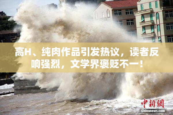 高H、纯肉作品引发热议，读者反响强烈，文学界褒贬不一！