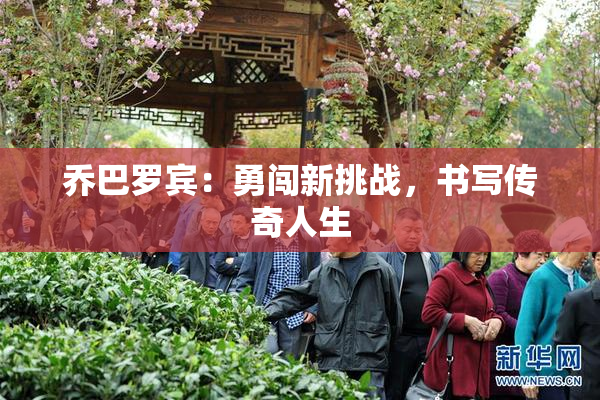 乔巴罗宾：勇闯新挑战，书写传奇人生