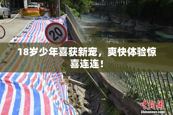 18岁少年喜获新宠，爽快体验惊喜连连！
