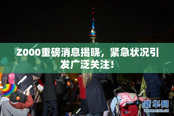 Z000重磅消息揭晓，紧急状况引发广泛关注！