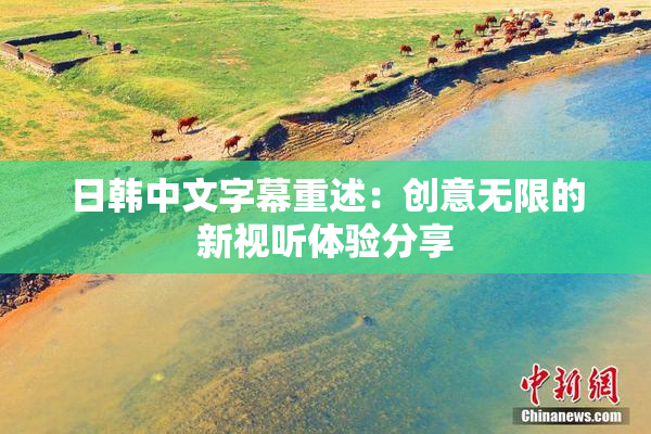 日韩中文字幕重述：创意无限的新视听体验分享