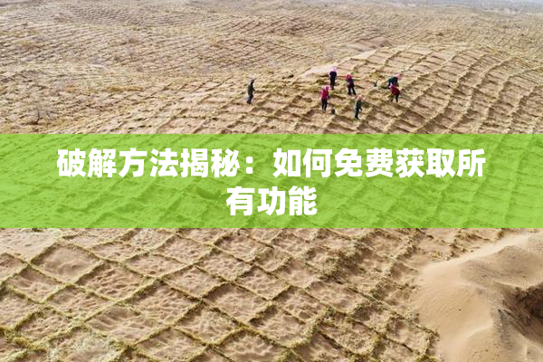 破解方法揭秘：如何免费获取所有功能