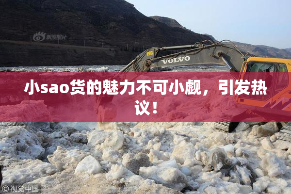 小sao货的魅力不可小觑，引发热议！