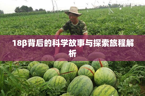 18β背后的科学故事与探索旅程解析