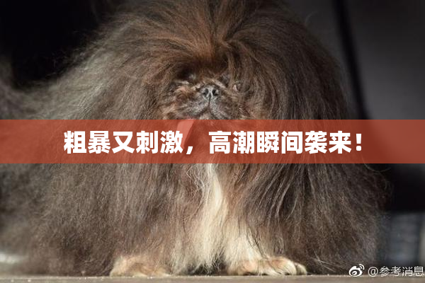 粗暴又刺激，高潮瞬间袭来！