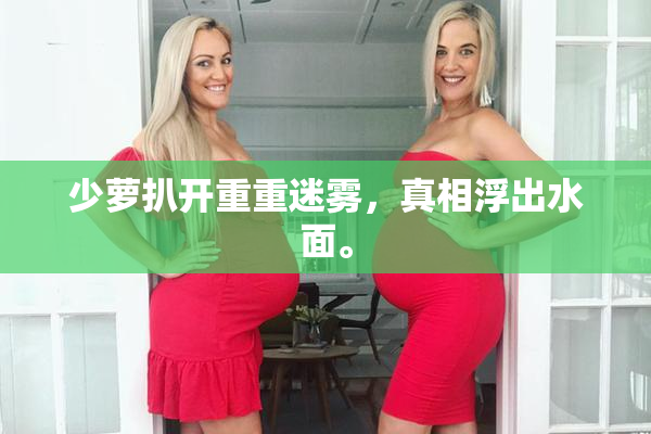 少萝扒开重重迷雾，真相浮出水面。